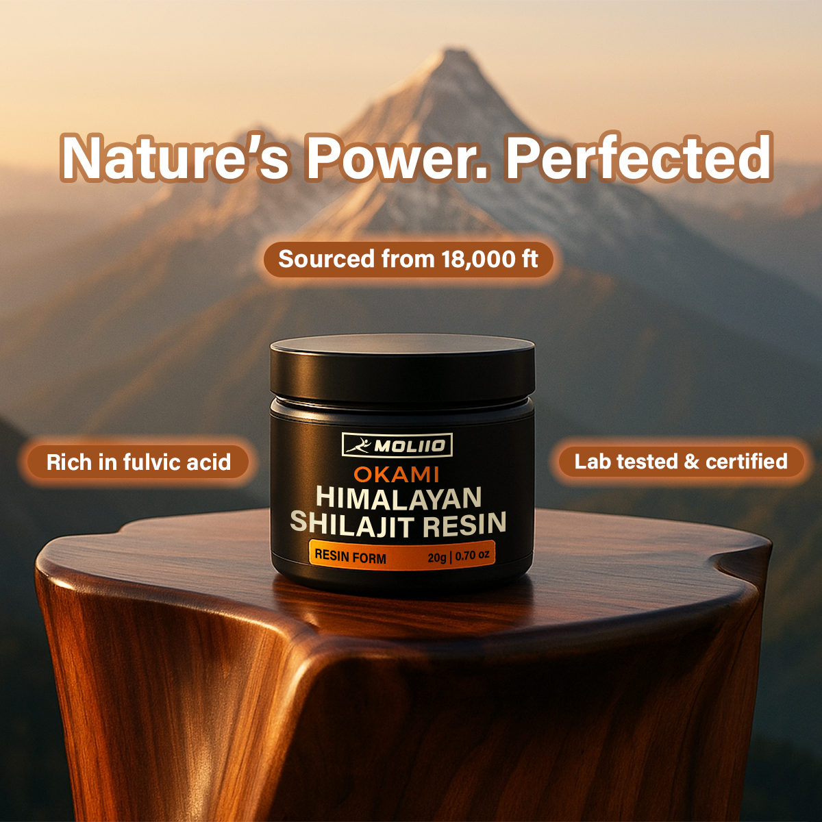 MOLLIO™ Okami Himalayan Shilajit Resin - 20g